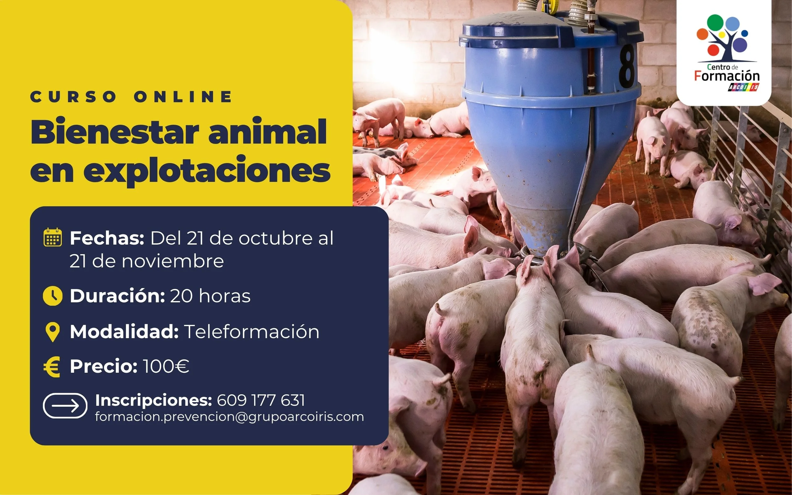 Centro de Formación Arcoiris inicia su curso online de 