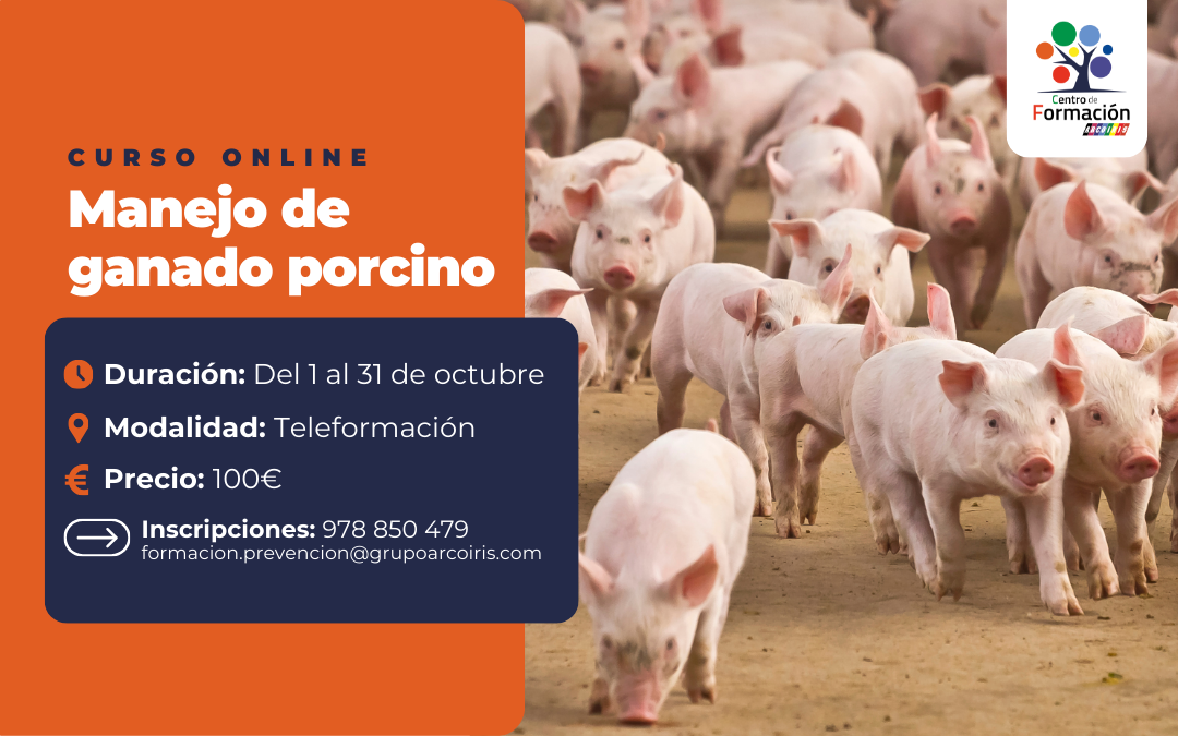Centro de Formación Arcoiris inicia su curso online de 